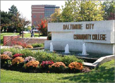 bccc